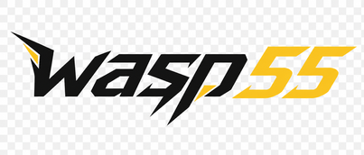 wasp 55